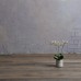Ламинат ПВХ FineFloor LIGHT FF1333 Дуб Борда