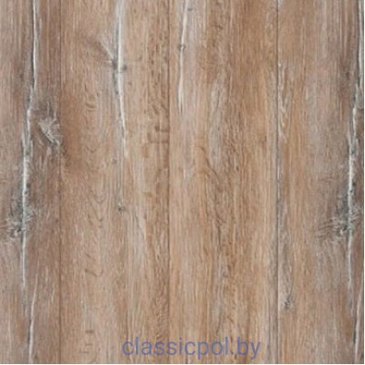 Ламинат Classen Forest 36279 Дуб Салерно
