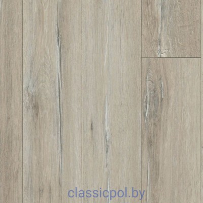 Ламинат Classen Forest 36281 Дуб Аликанте