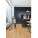 Виниловый пол QuickStep Alpha Vinyl Medium Planks AVMP40088 Дуб осенний медовый