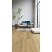 Ламинат QuickStep Eligna U3578 Дуб природный натуральный