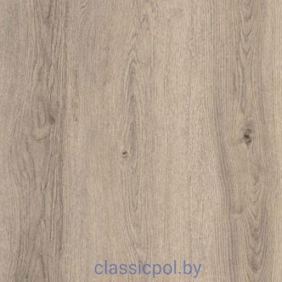 Ламинат Kastamonu Floorpan Orange FP952  Дуб Жемчужный